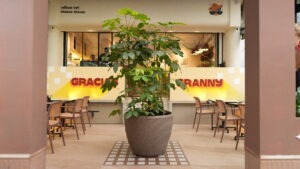 Gracias Granny Santacruz